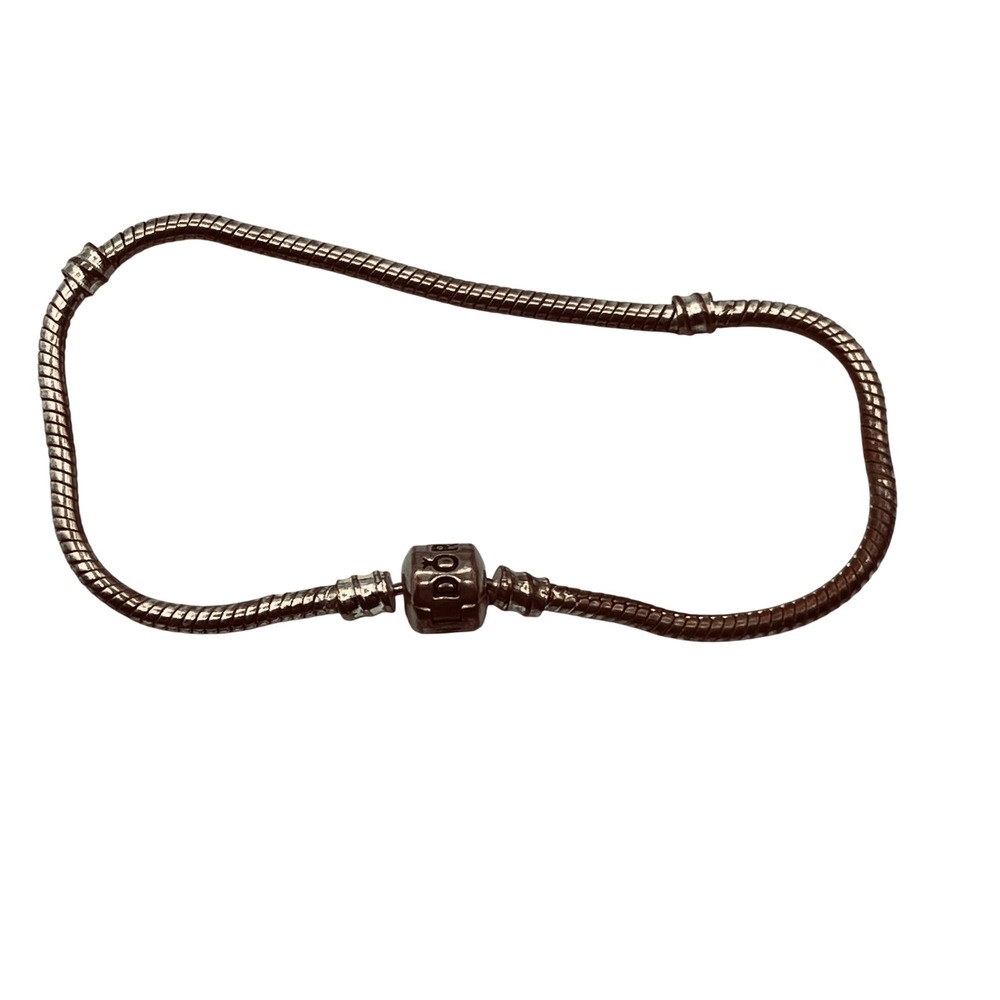 Snake Chain Charm Bracelet 7.5in 19cm